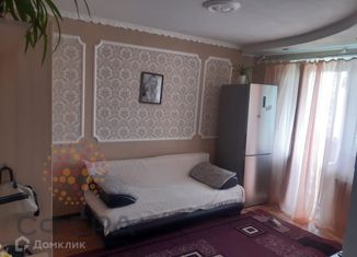 Продается 1-комнатная квартира, 20.8 м2, Новосибирская область, Боровая улица, 96