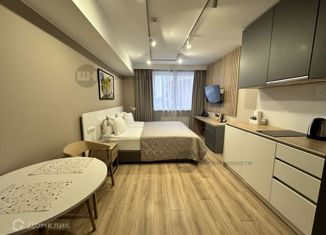 Продаю квартиру студию, 22.9 м2, Санкт-Петербург, Заозёрная улица, 3к3, Заозёрная улица