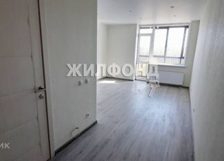 Продаю квартиру студию, 30 м2, Новосибирск, Рябиновая улица, Рябиновая улица