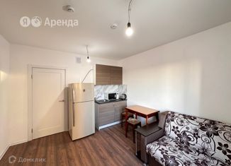 Квартира в аренду студия, 21 м2, Санкт-Петербург, Муринская дорога, 31к2