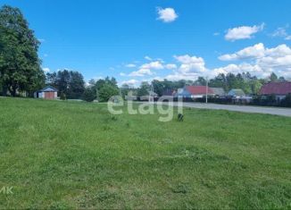 Продается земельный участок, 30 сот., село Чернышено, улица Сокольники