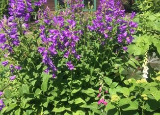 Продажа дома, 136.3 м2, Отрадное, 12-я линия, 63