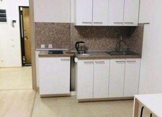 Аренда квартиры студии, 25.6 м2, Санкт-Петербург, Плесецкая улица, 2, ЖК Ариосто