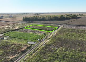 Продается земельный участок, 15 сот., село Борки, Филиновская улица