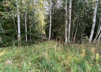 Продам участок, 5 сот., деревня Зимогорье, Сиреневая улица, 1