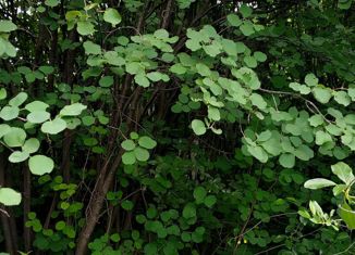 Продам земельный участок, 6 сот., Магнитогорск, 4-я улица