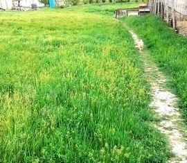 Участок на продажу, 8 сот., село Трёхпрудное, улица Мектеп