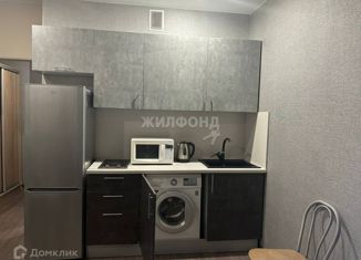 Продам квартиру студию, 23.9 м2, Новосибирская область, улица Виктора Уса, 4