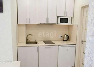 Сдается квартира студия, 25 м2, Новосибирск, улица Плахотного, 82, улица Плахотного