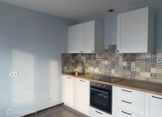 Сдача в аренду квартиры студии, 22 м2, Санкт-Петербург, Гладышевский проспект, 38к3, Гладышевский проспект