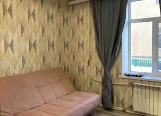 Сдается 2-комнатная квартира, 48 м2, Екатеринбург, улица Софьи Ковалевской, 8, улица Софьи Ковалевской