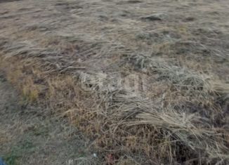Продам земельный участок, 8 сот., СНТ Мазары, 5-я линия