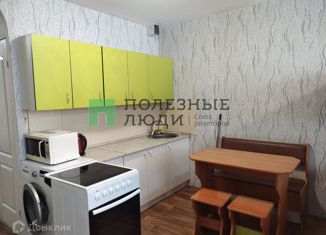 Продажа квартиры студии, 32 м2, деревня Хохряки, Тепличная улица, 30