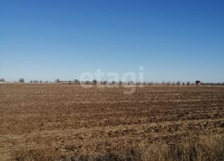 Продается земельный участок, 50 сот., село Михайловка