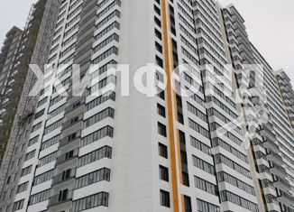 Квартира на продажу студия, 30 м2, Новосибирск, улица Петухова, 162, ЖК Матрёшкин Двор