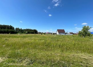 Продам земельный участок, 10 сот., рабочий посёлок Коченёво, 3-я линия