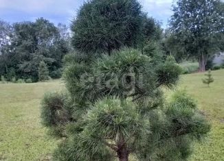 Продам земельный участок, 20 сот., СНТ Горбунок