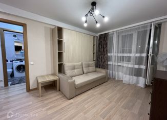 Сдам в аренду 1-ком. квартиру, 30.1 м2, Санкт-Петербург, Благодатная улица, 15, Благодатная улица