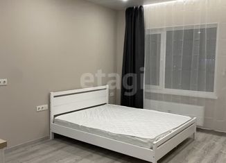 Продам квартиру студию, 26.1 м2, Колпино, Рубежное шоссе, 12