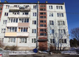 Продаю двухкомнатную квартиру, 45 м2, Ленинградская область, Центральная улица, 6