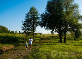 Продаю земельный участок, 12 сот., деревня Романьково