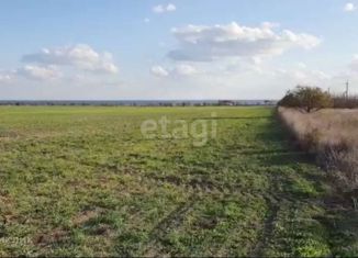 Продается земельный участок, 20.6 сот., село Знаменское