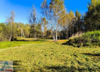 Участок на продажу, 20 сот., деревня Вашутино, Озёрная улица