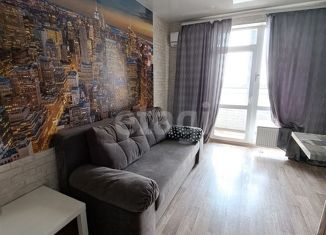 Квартира на продажу студия, 24 м2, Новосибирск, Железнодорожная улица, 15/1, метро Гагаринская