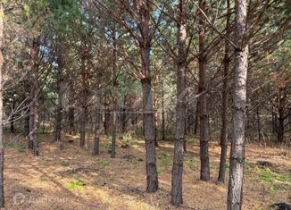 Участок на продажу, 107 сот., Усть-Ницинское сельское поселение