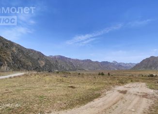 Продам земельный участок, 100 сот., село Чемал, улица Пчёлкина, 44