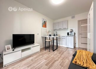 Квартира в аренду студия, 25 м2, Санкт-Петербург, набережная реки Каменки, 23