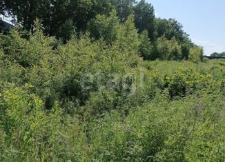 Продам земельный участок, 10 сот., село Тамбовка, Северная улица