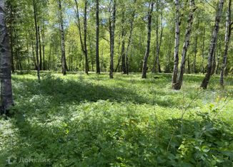 Продажа участка, 39 сот., деревня Семкино