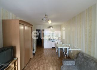 Аренда квартиры студии, 25.8 м2, Красноярск, Норильская улица, 40, ЖК Родники