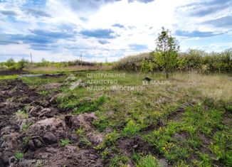 Продается участок, 19 сот., деревня Рожок, Центральная улица