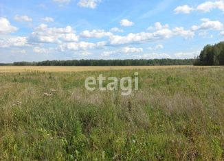 Земельный участок на продажу, 11.7 сот., село Горьковка, Сибирская улица