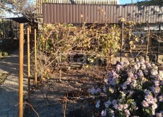 Продается земельный участок, 8 сот., село Солнечное, Сосновый переулок