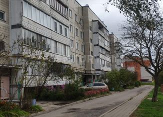 Трехкомнатная квартира на продажу, 69.3 м2, деревня Кривское, Центральная улица, 18