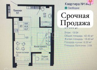 Продается 1-комнатная квартира, 43.43 м2, Ростов-на-Дону, Привокзальная улица, 3В