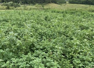 Продаю земельный участок, 15 сот., село Фёдоровка, Рассветная улица, 32