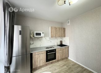 1-комнатная квартира в аренду, 36 м2, Новосибирск, Спортивная улица, 35