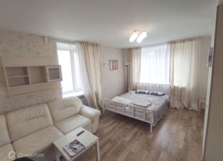 Продается однокомнатная квартира, 30.8 м2, Нижний Новгород, Суетинская улица, 3, Нижегородский район