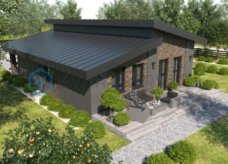 Продается дом, 69 м2, село Дружино, Александровская улица