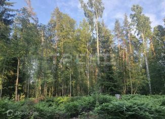 Продам земельный участок, 10 сот., деревня Елизаветинка