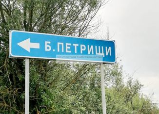 Продам земельный участок, 10 сот., деревня Большие Петрищи, деревня Большие Петрищи, 26А