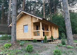 Продажа дома, 48 м2, село Силино