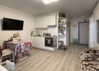 Квартира на продажу студия, 23.7 м2, поселение Десёновское, Нововатутинский проспект, 13