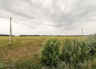 Продается участок, 300 сот., деревня Коняшина