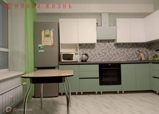 Продам 1-комнатную квартиру, 45 м2, село Николаевка, Губернаторская улица, 20