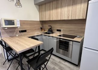 Сдается в аренду 1-комнатная квартира, 41 м2, Воронеж, Спортивная набережная, 19А, ЖК Кристальный